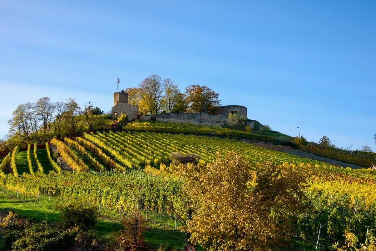 Burgruine Weibertreu 3