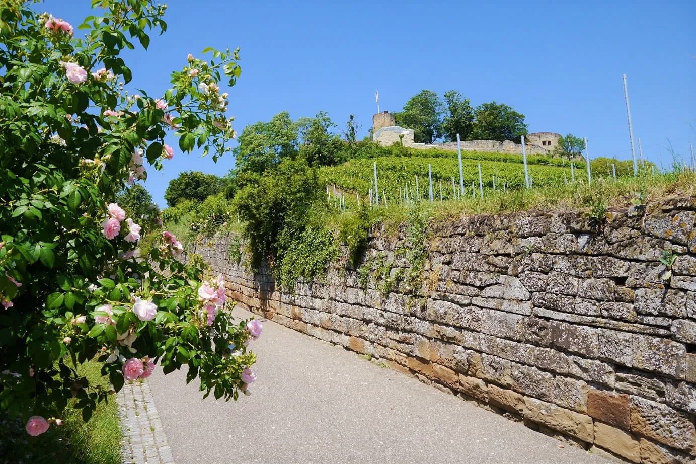 Burgruine Weibertreu 2