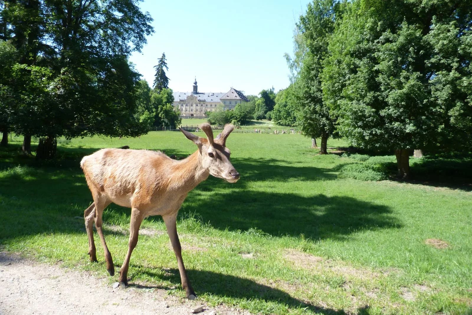 WildPark Schloss Tambach 2