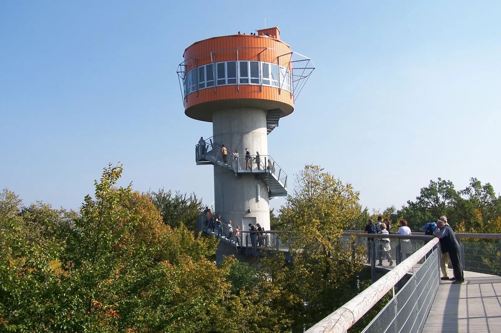 Baumkronenpfad im Nationalpark Hainich 2