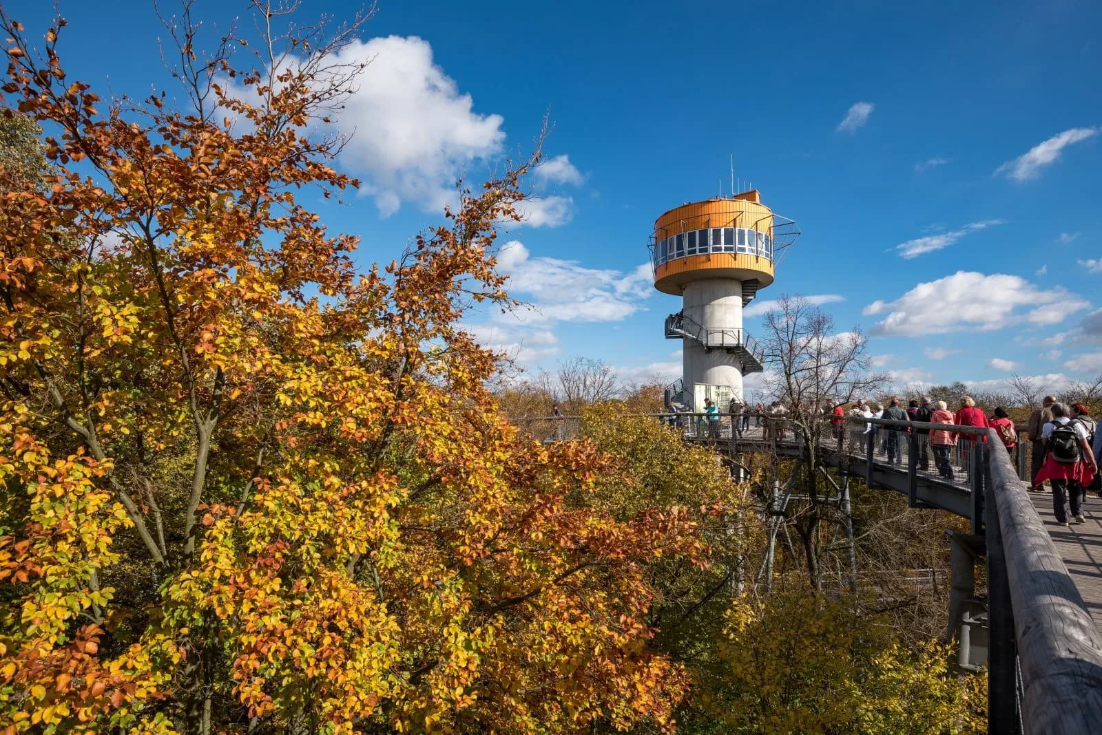Baumkronenpfad im Nationalpark Hainich