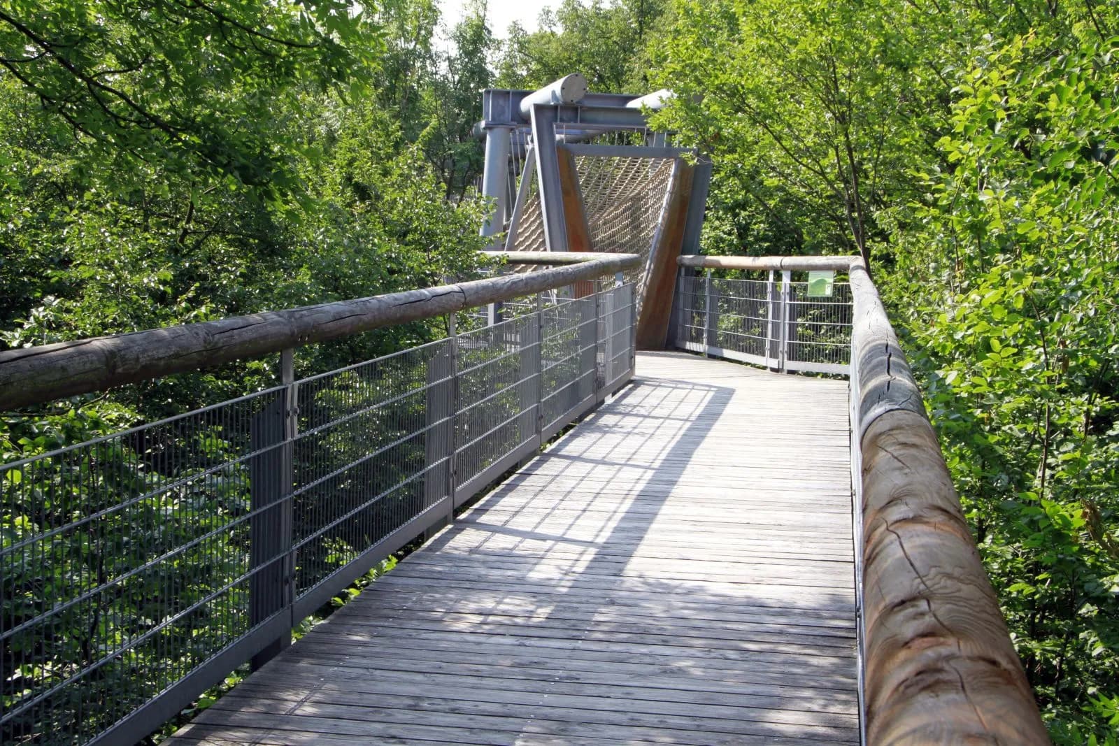 Baumkronenpfad im Nationalpark Hainich 3