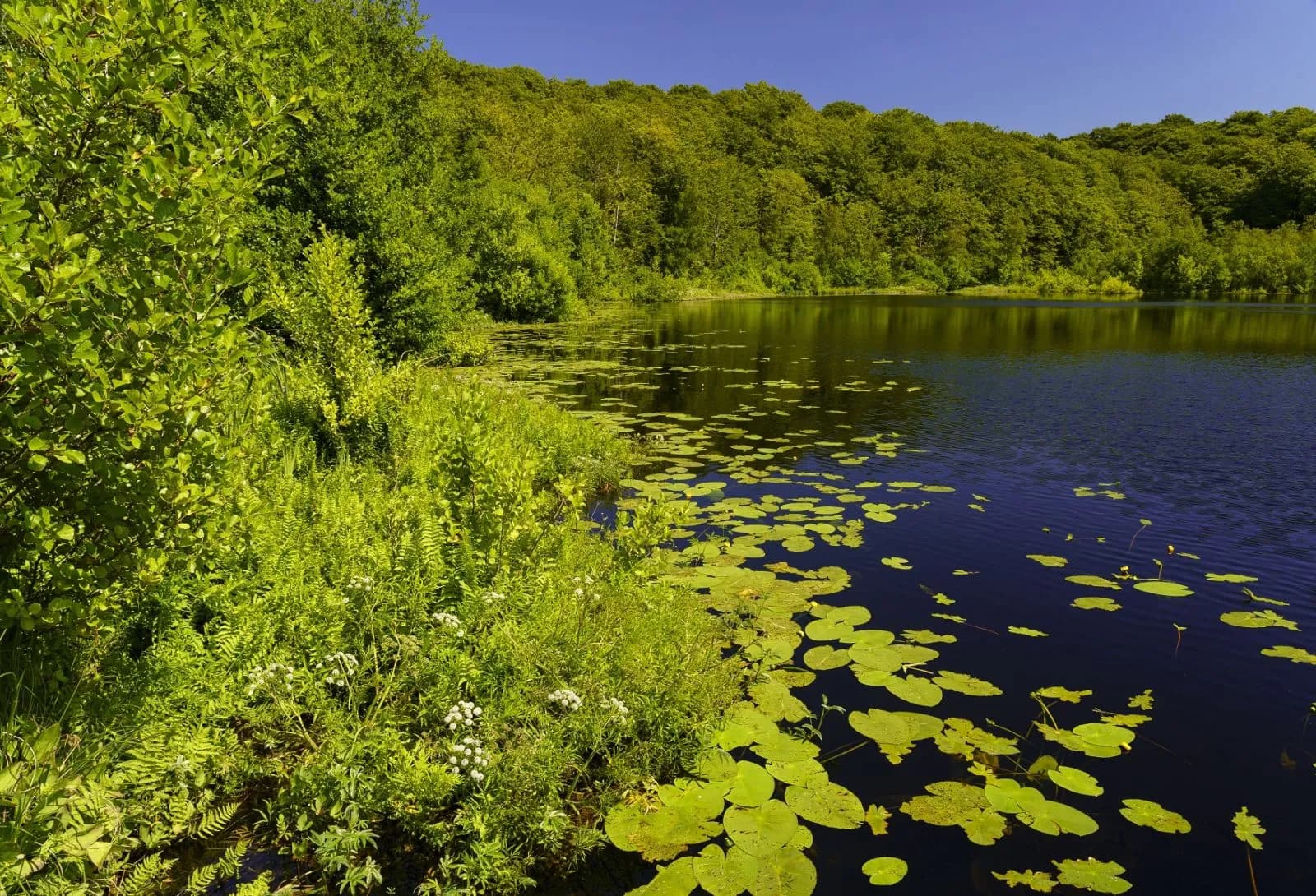 Biosphärenreservat Südost-Rügen 3