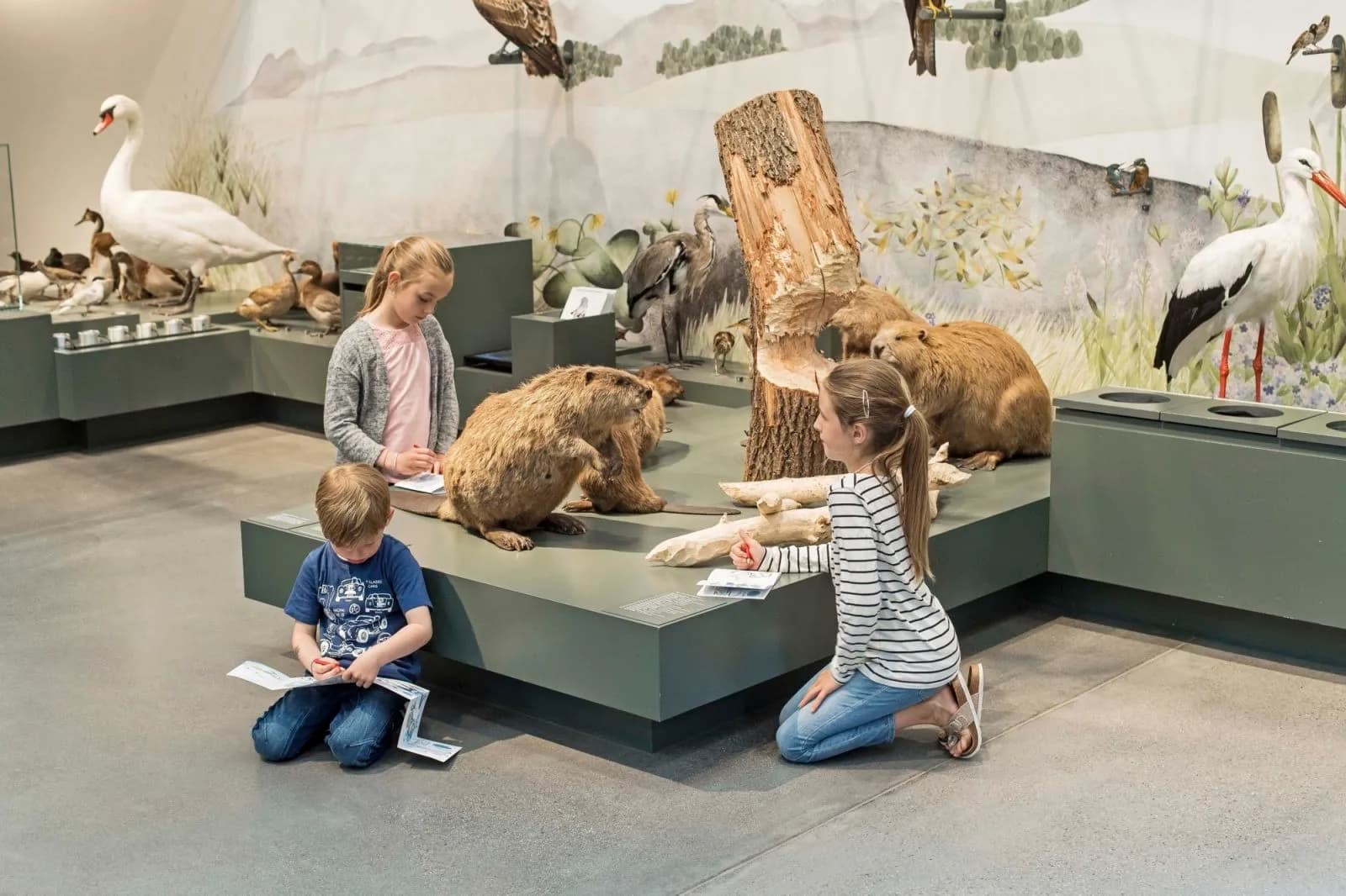 Naturmuseum St. Gallen 2