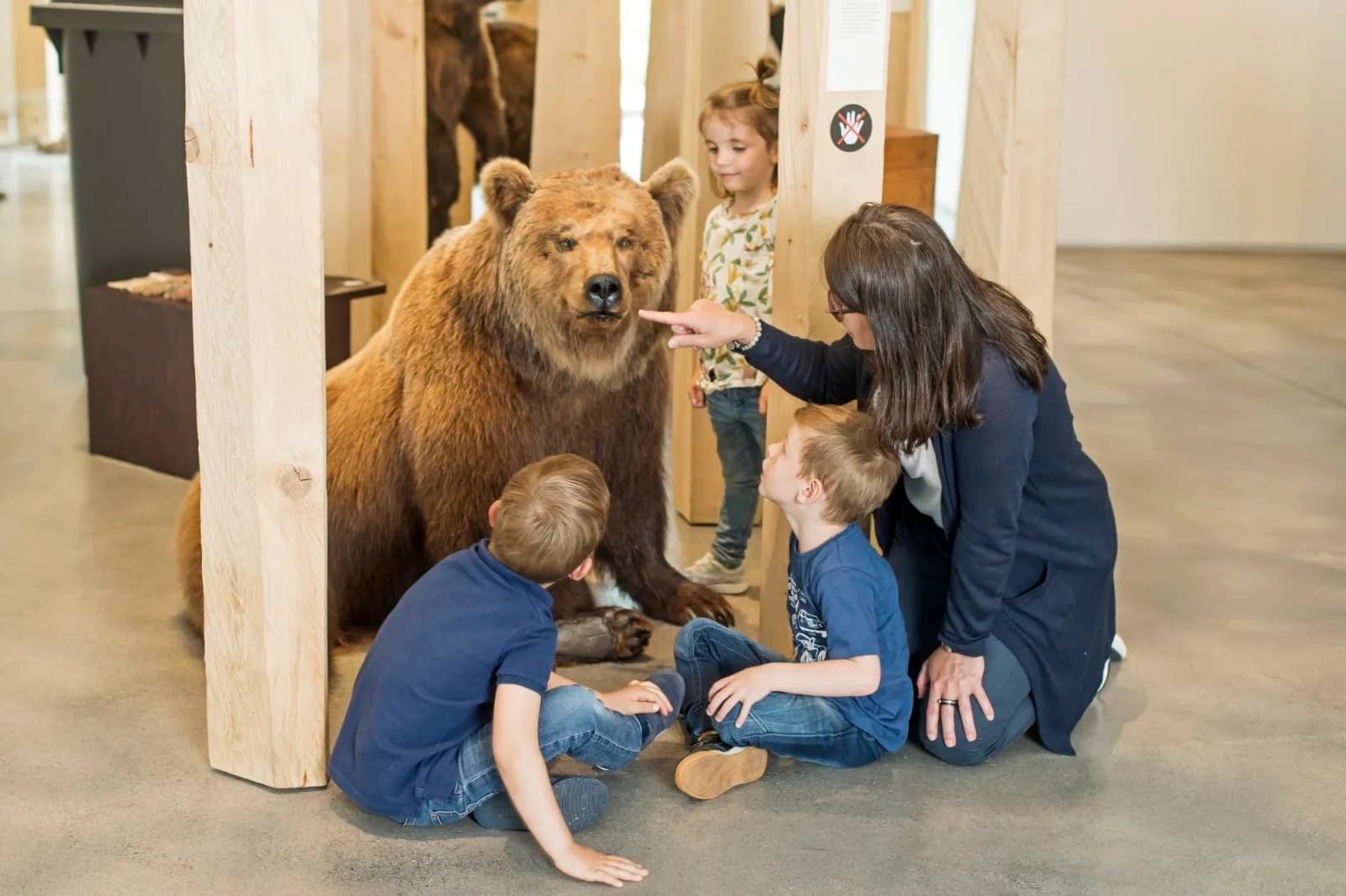 Naturmuseum St. Gallen 4