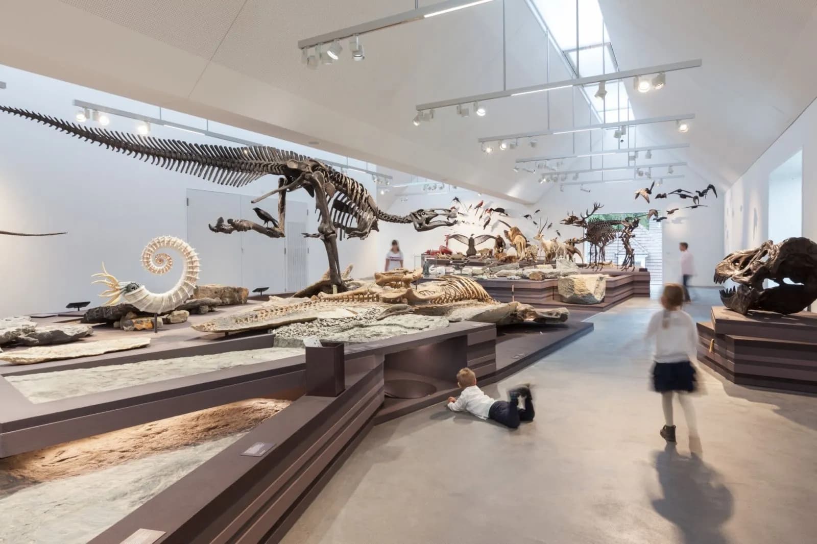 Naturmuseum St. Gallen 1