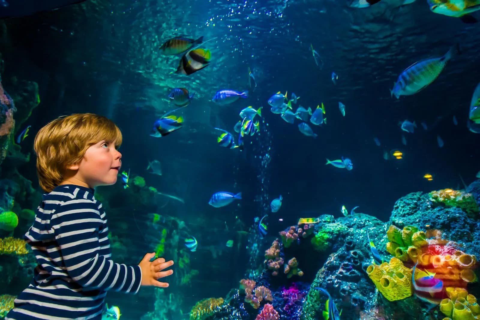 SEA LIFE München 1