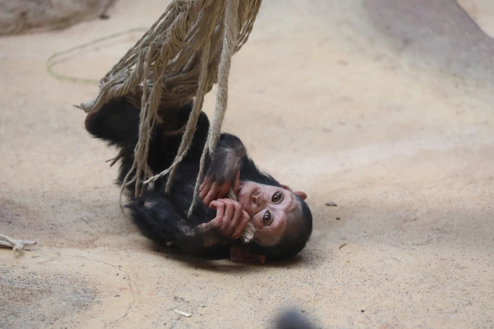 Zoo Arche Noah 1