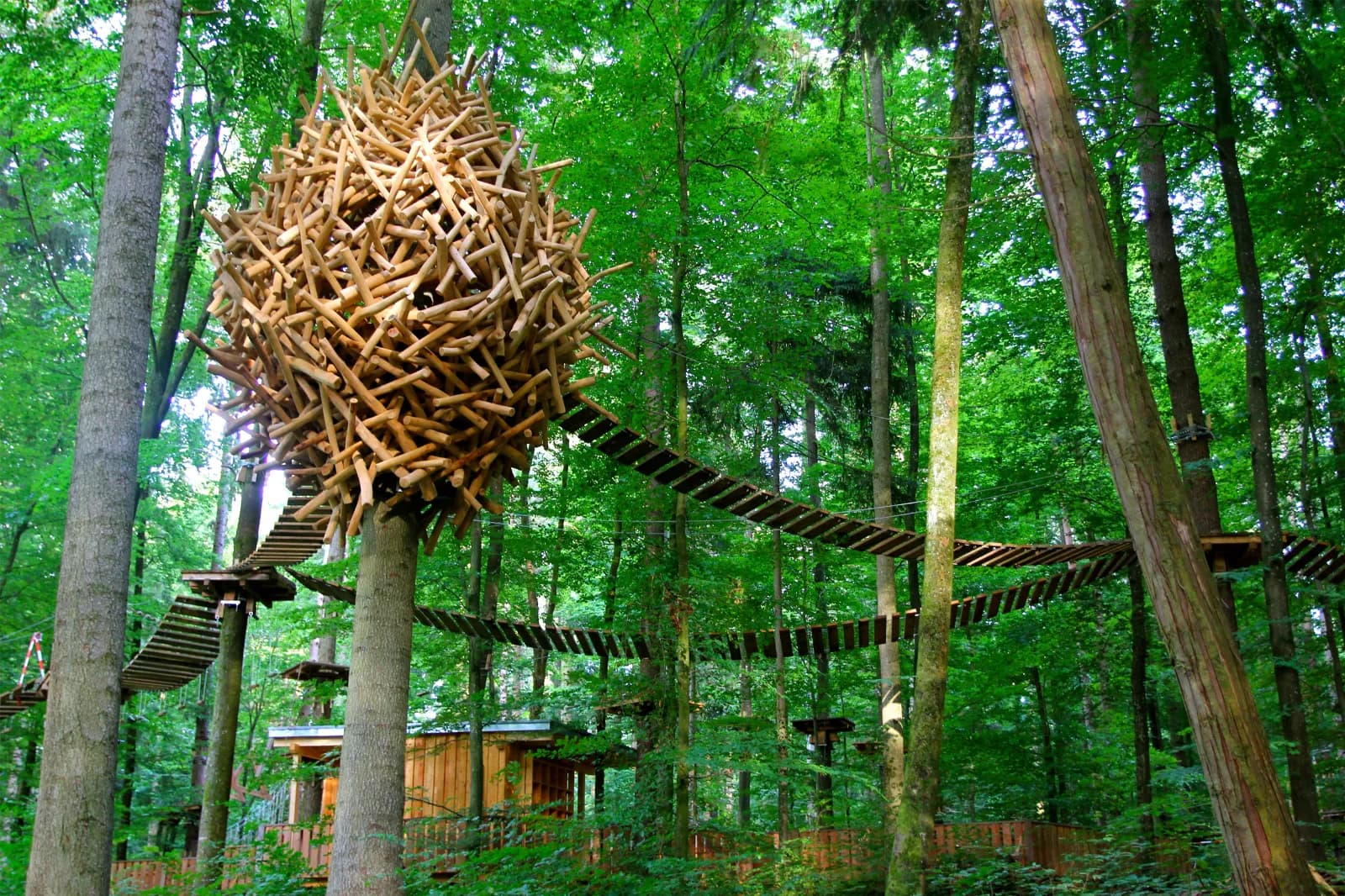Mainau Erlebniswald 2