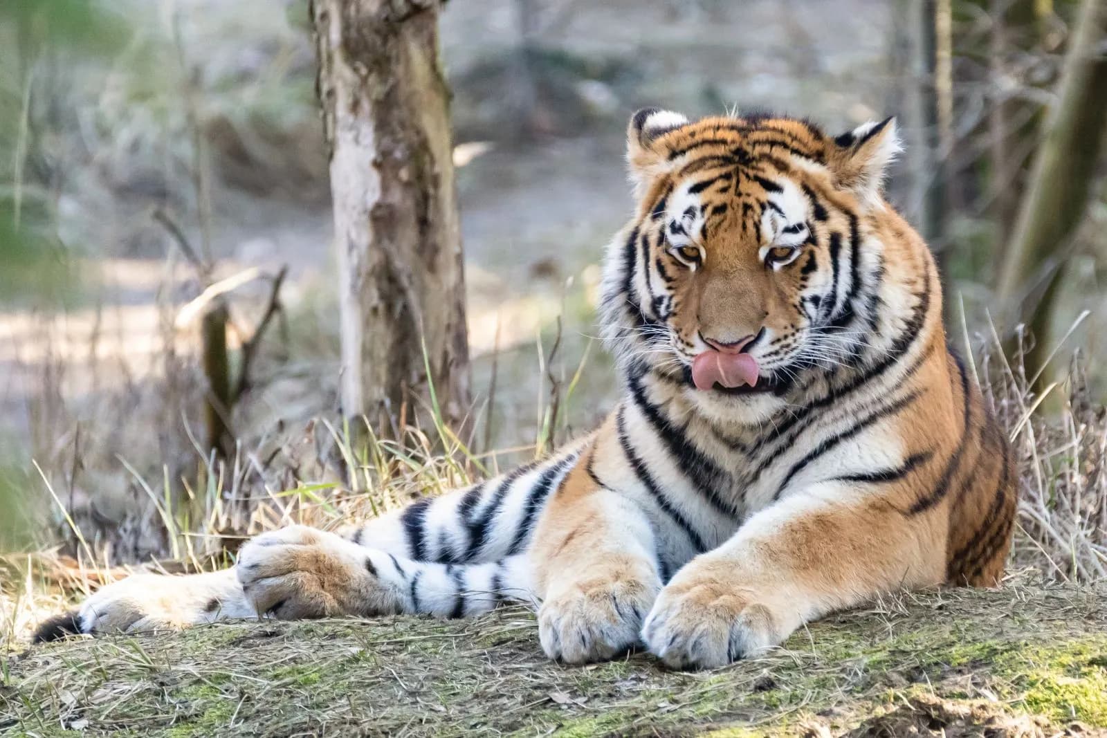 Zoologischer Garten Eberswalde 1