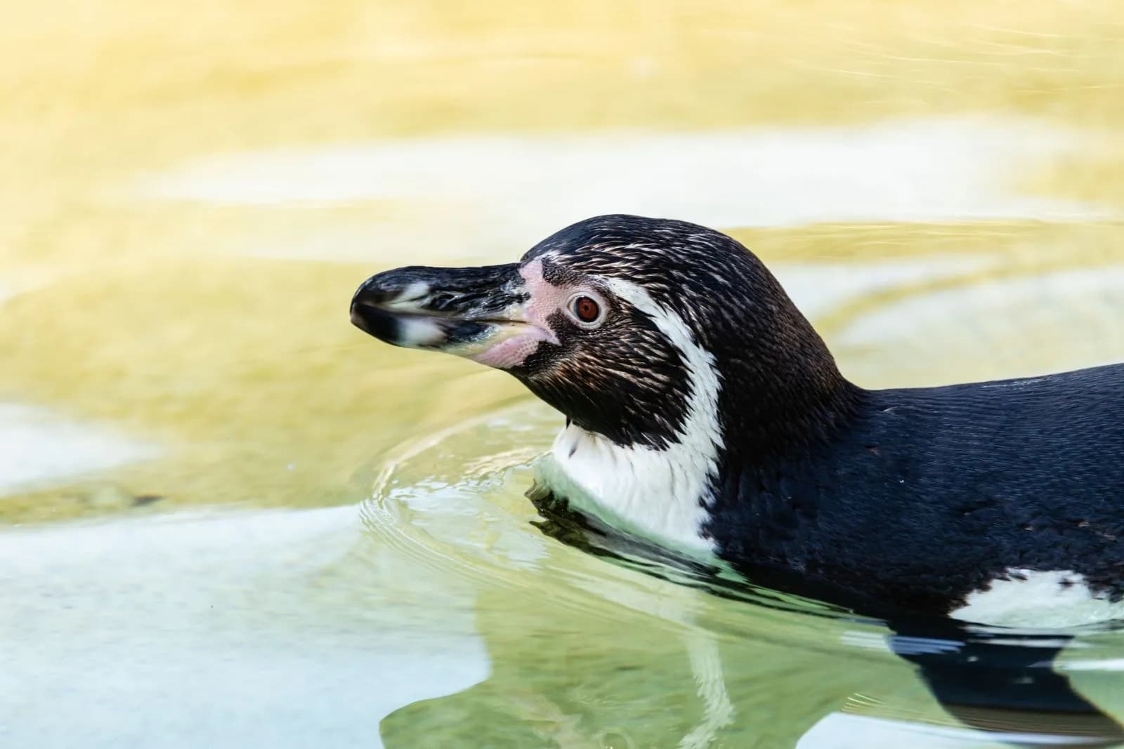 Zoologischer Garten Eberswalde 2