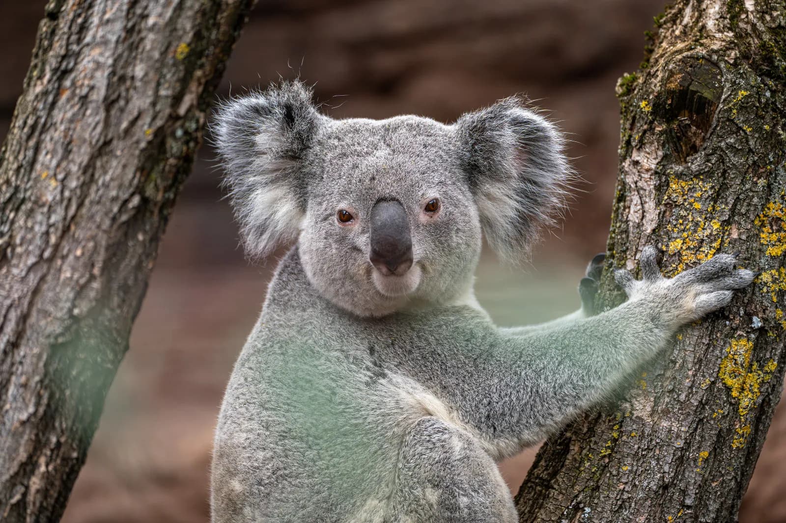 Wilhelma Zoologisch-Botanischer Garten Stuttgart 3