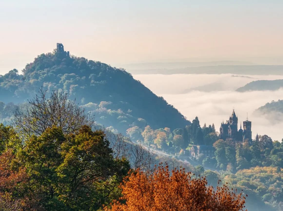 Burgruine Drachenfels 1
