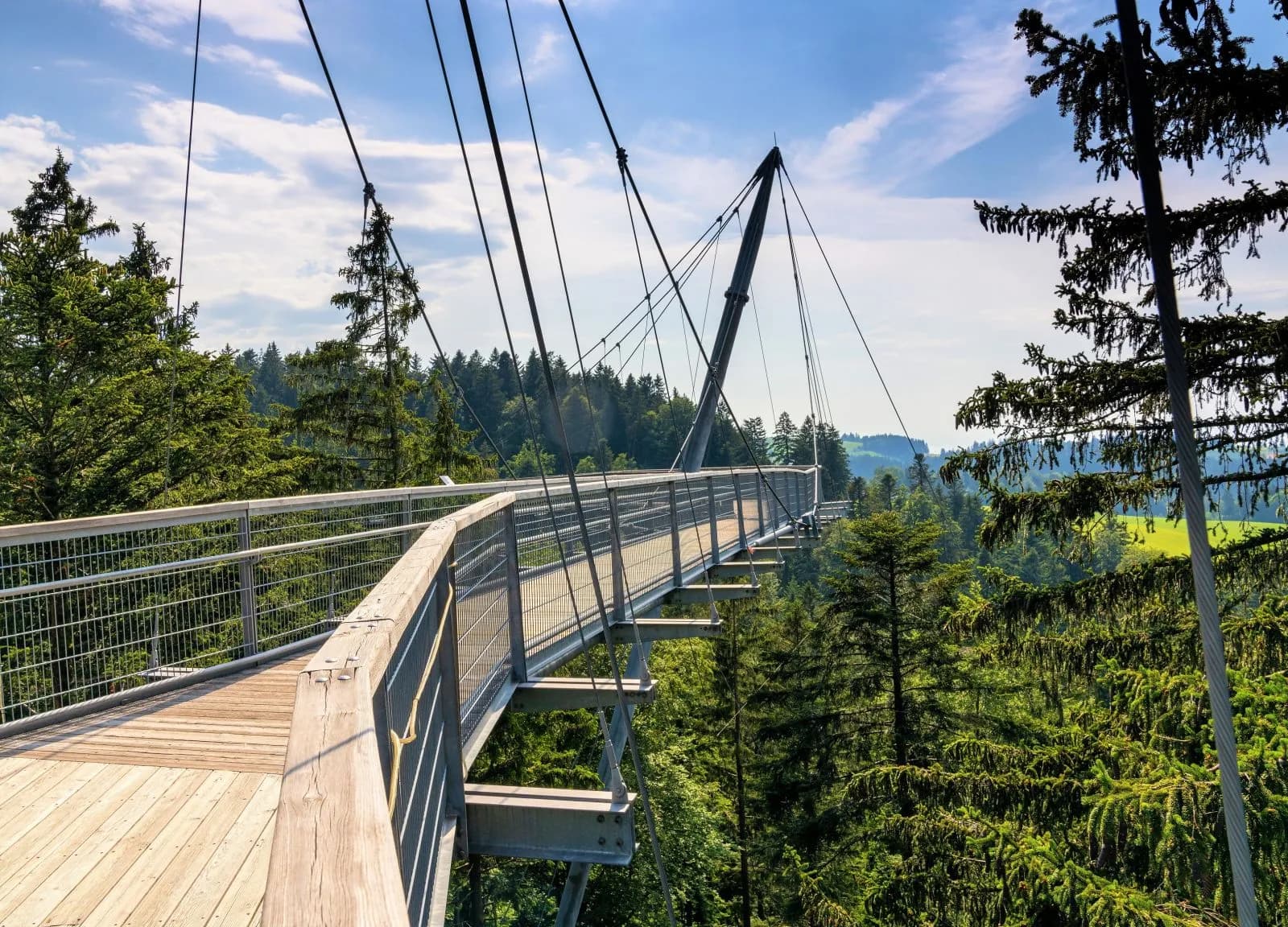skywalk allgäu Wald Abenteuerwelt 1