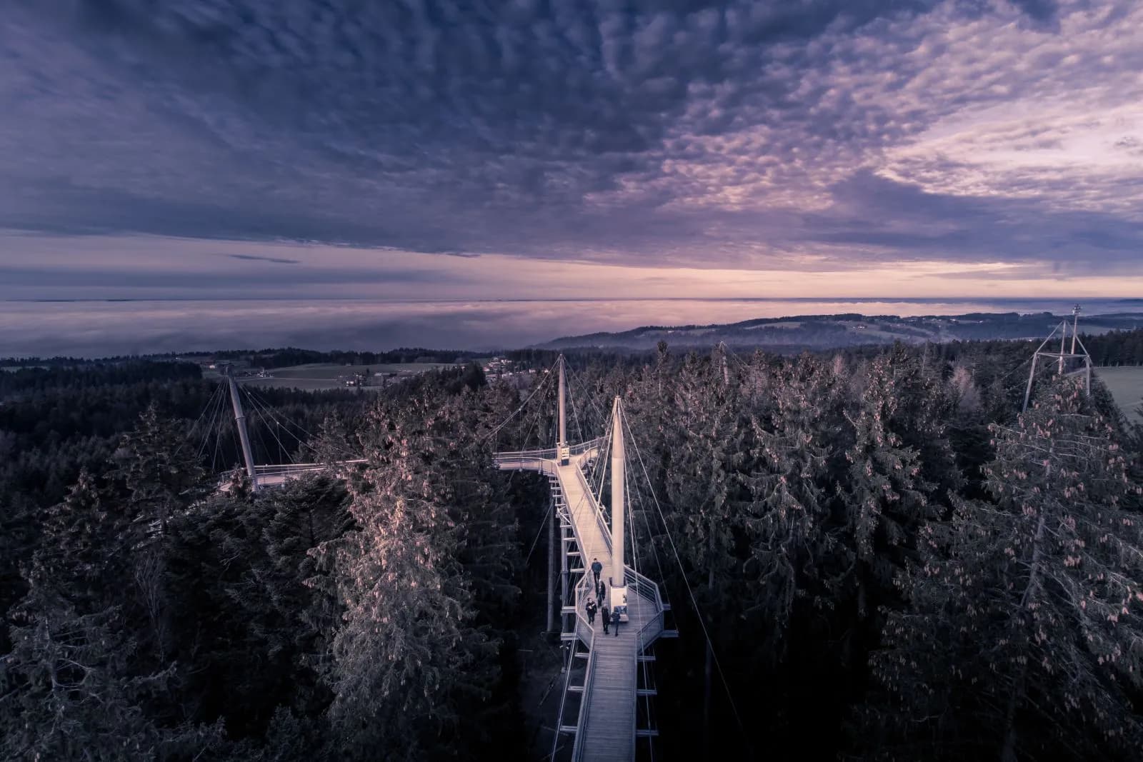 skywalk allgäu Wald Abenteuerwelt 2