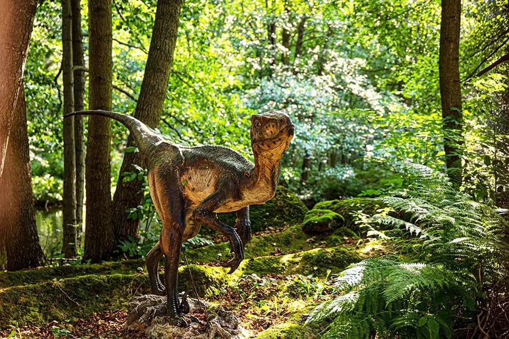 Freizeitpark Plohn 4