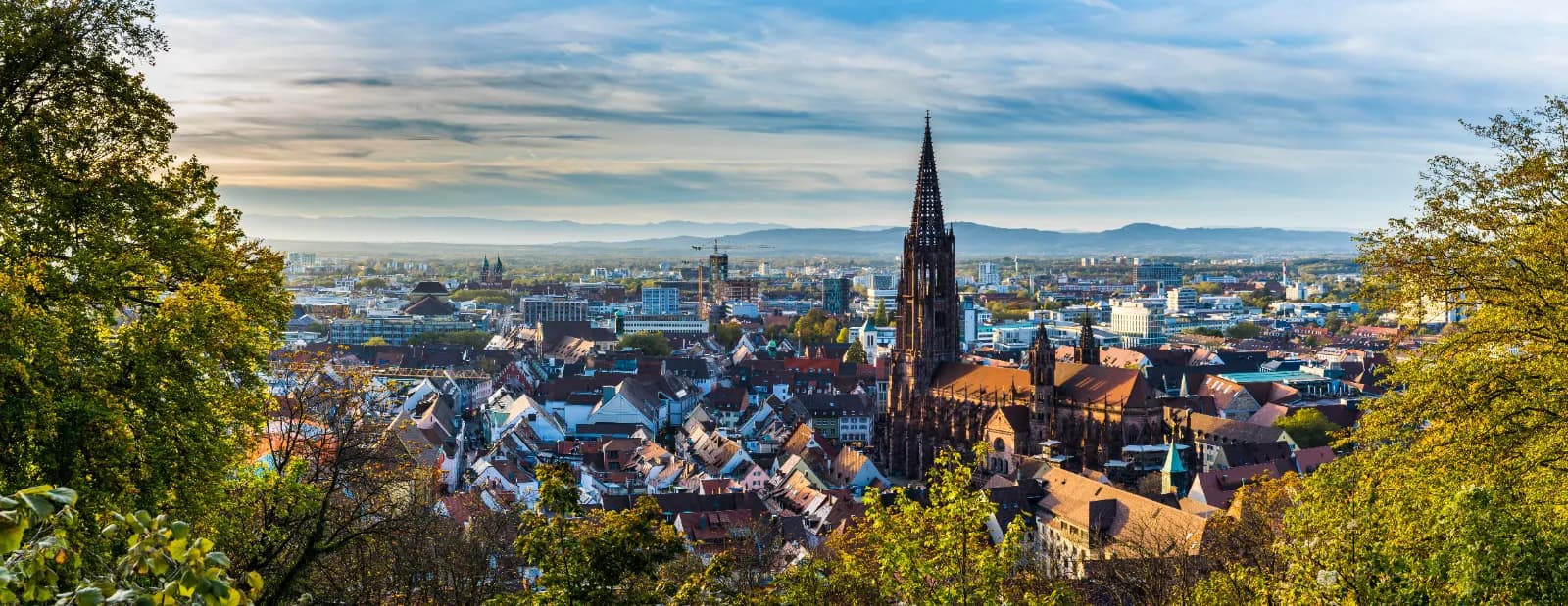 Freiburger Münster 4