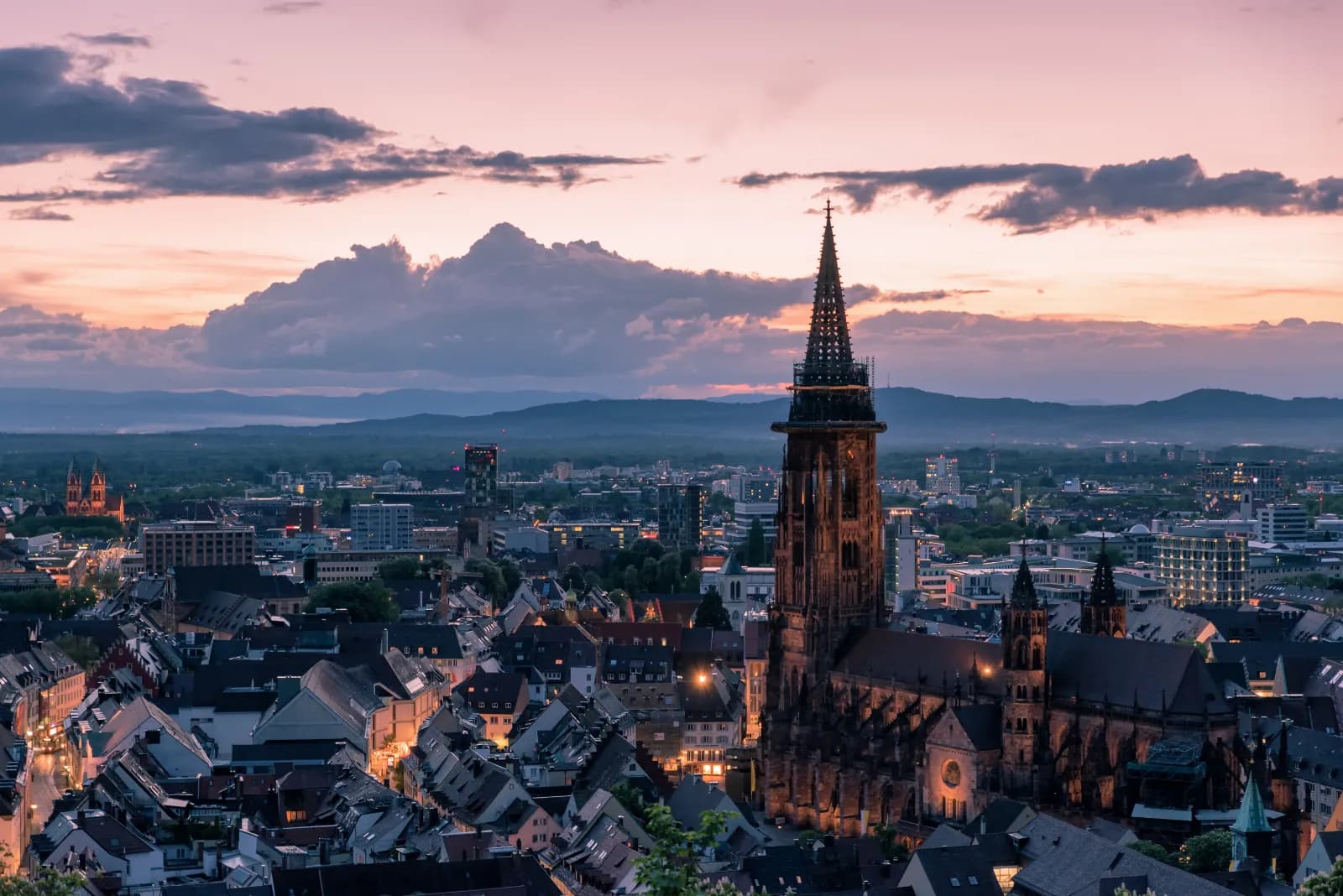Freiburger Münster