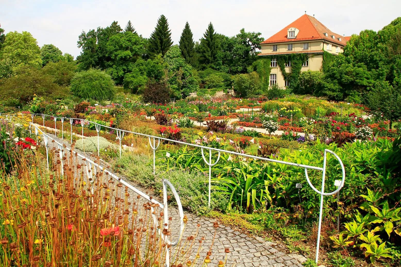 Botanischer Garten München-Nymphenburg 2
