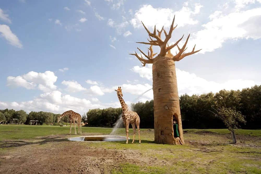 Serengeti Park Hodenhagen 6