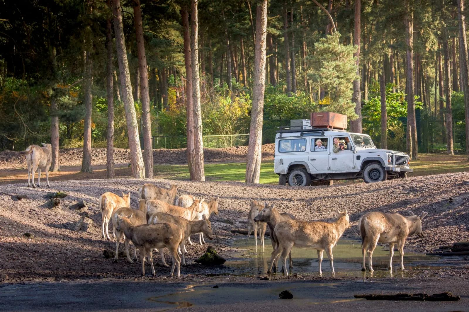 Serengeti Park Hodenhagen 2