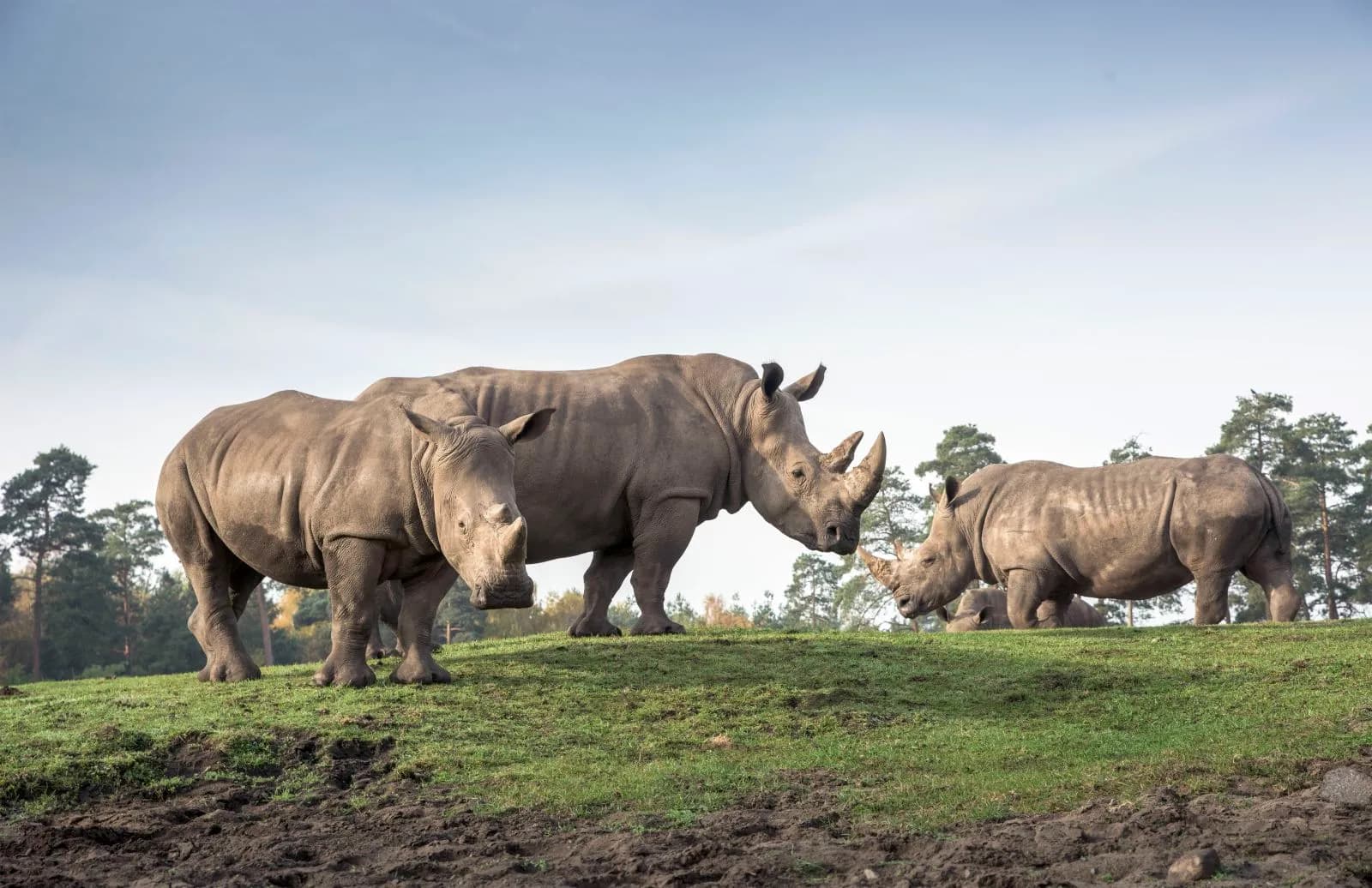 Serengeti Park Hodenhagen 3