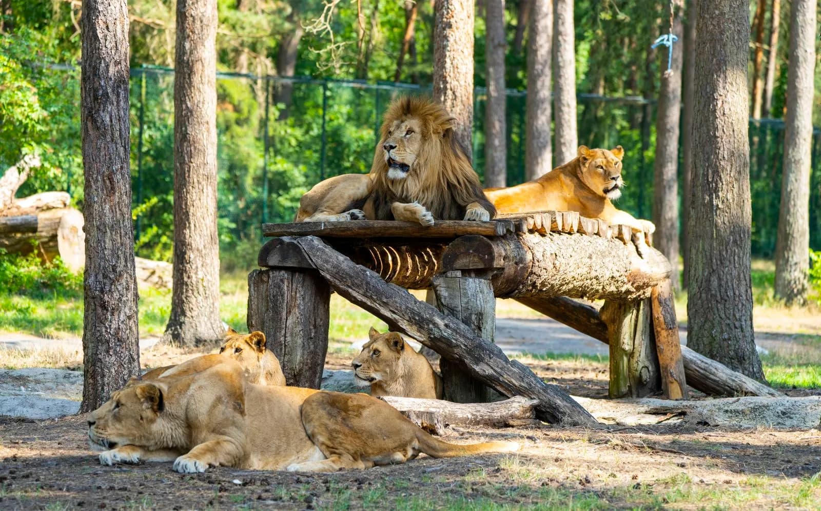 Serengeti Park Hodenhagen 4