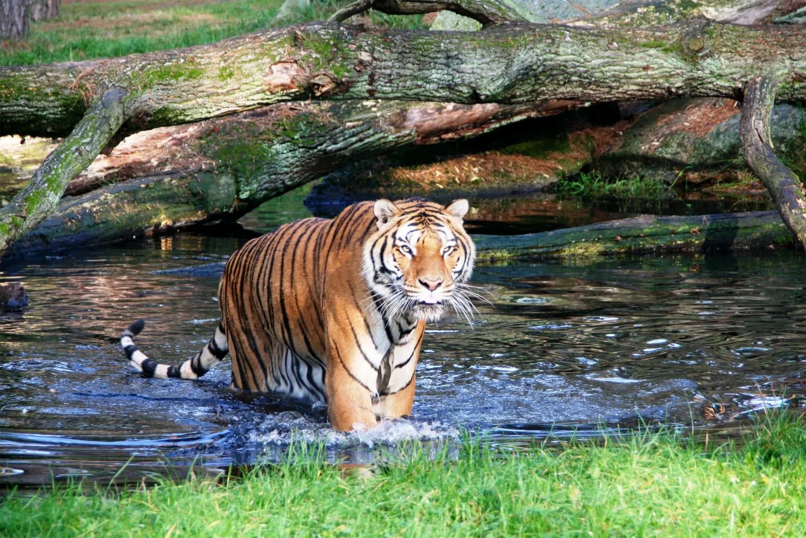 Serengeti Park Hodenhagen 5
