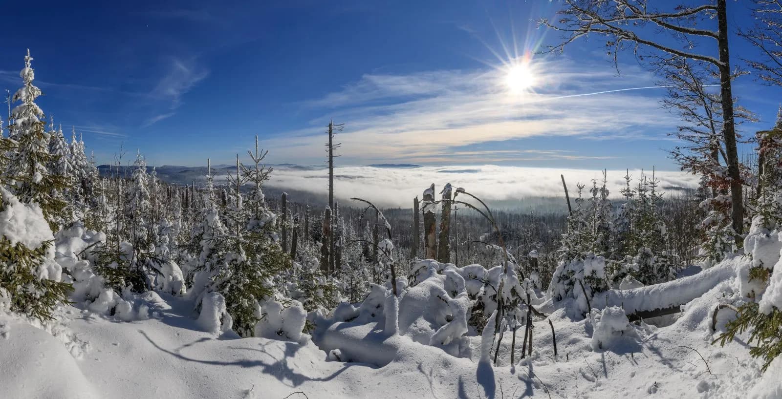 Nationalpark Bayerischer Wald 3