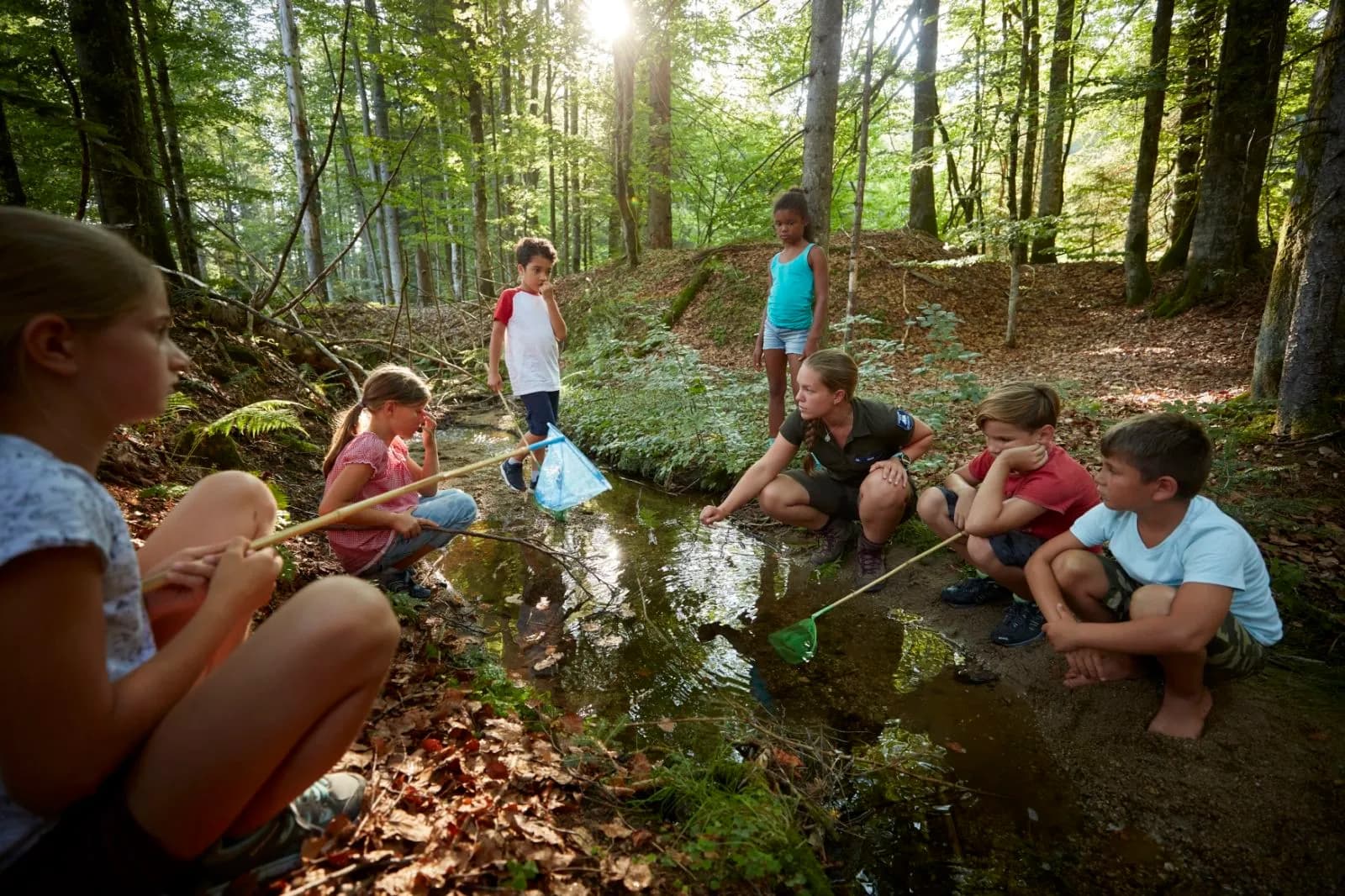 Nationalpark Bayerischer Wald 1