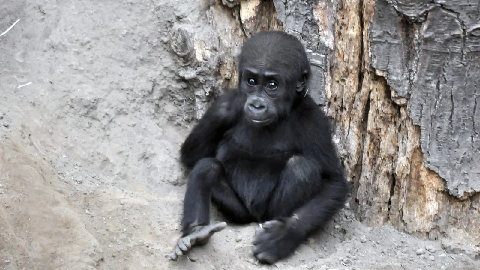 Zoo Rostock 3