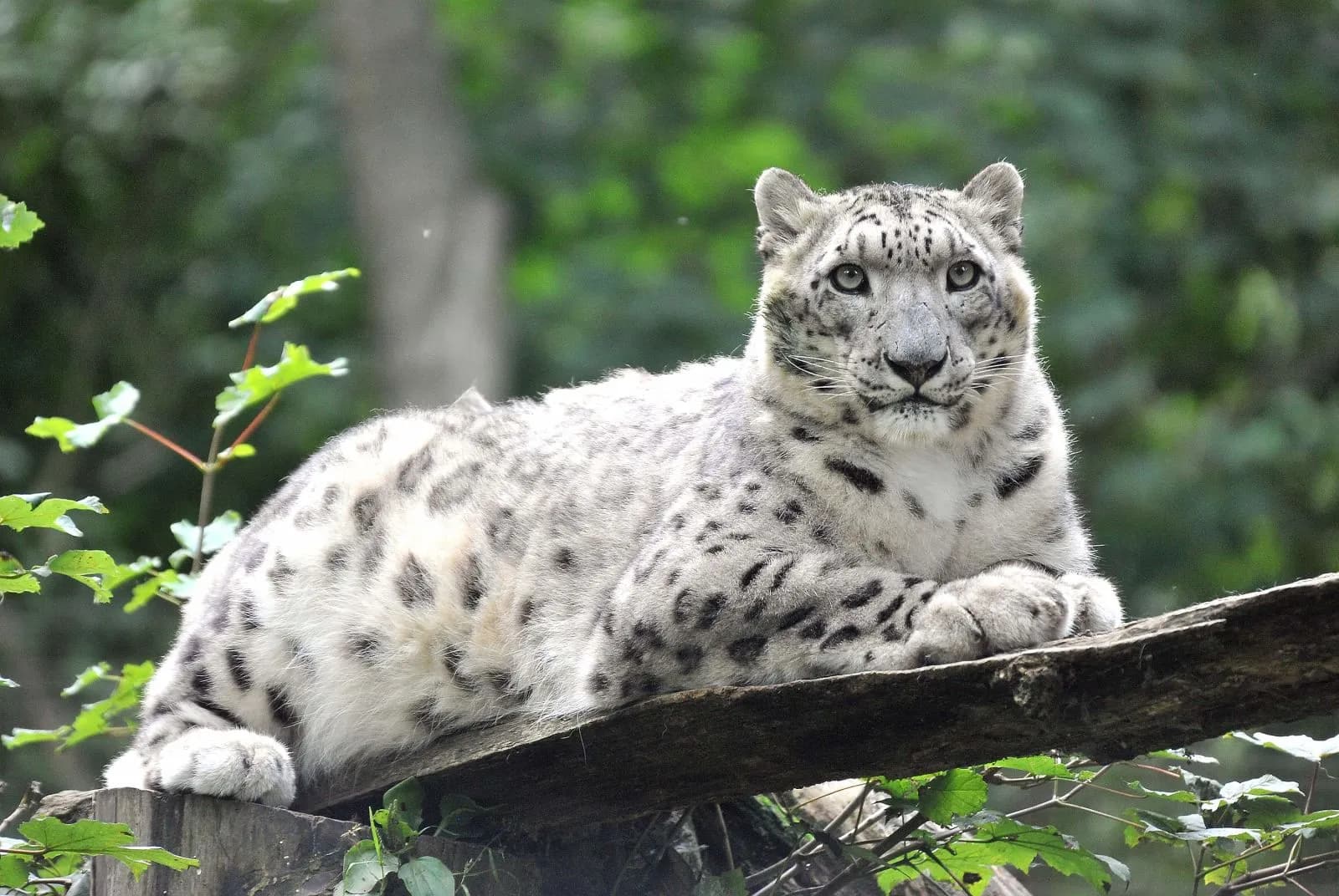 Zoo Rostock