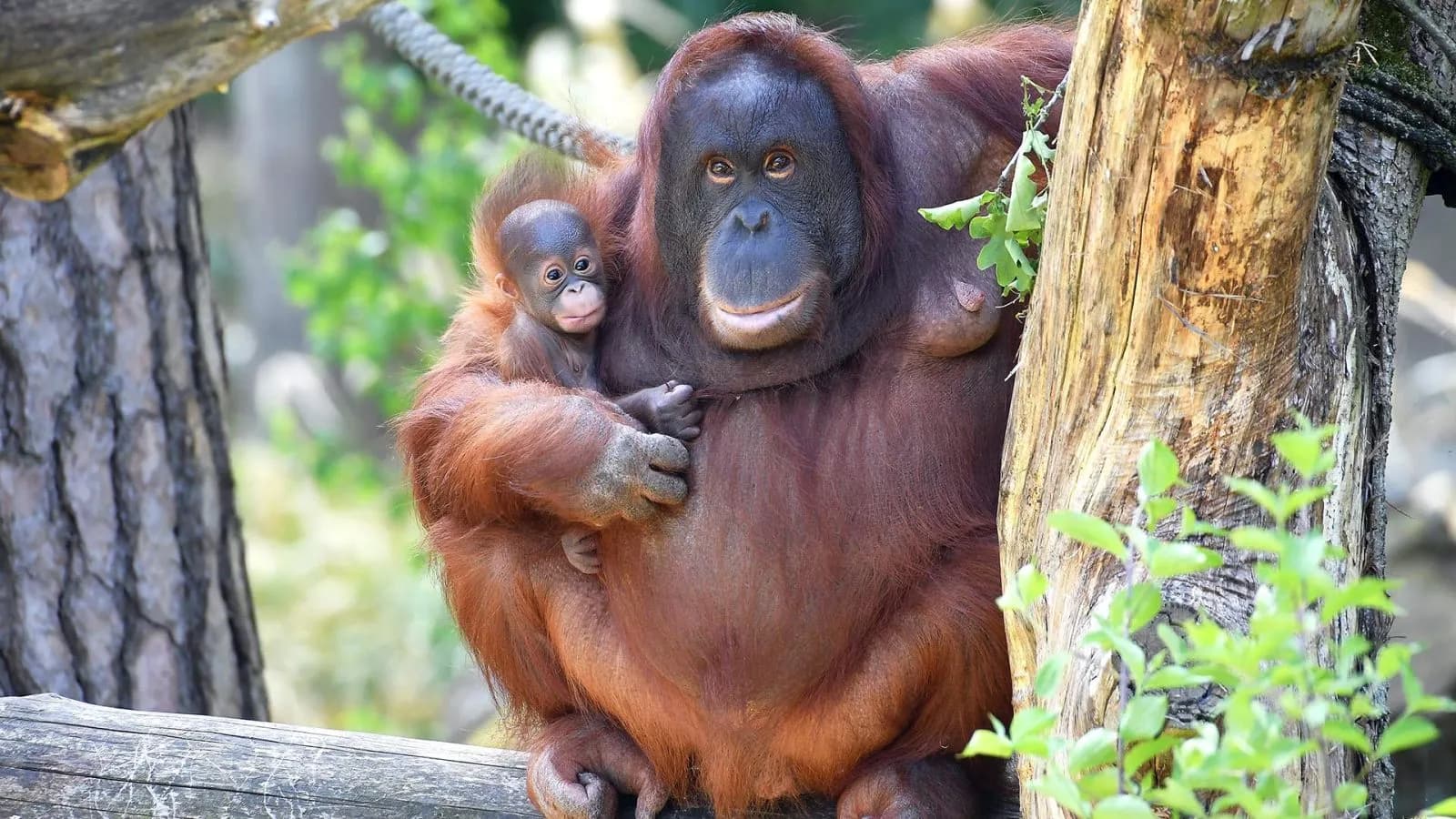 Zoo Rostock 4