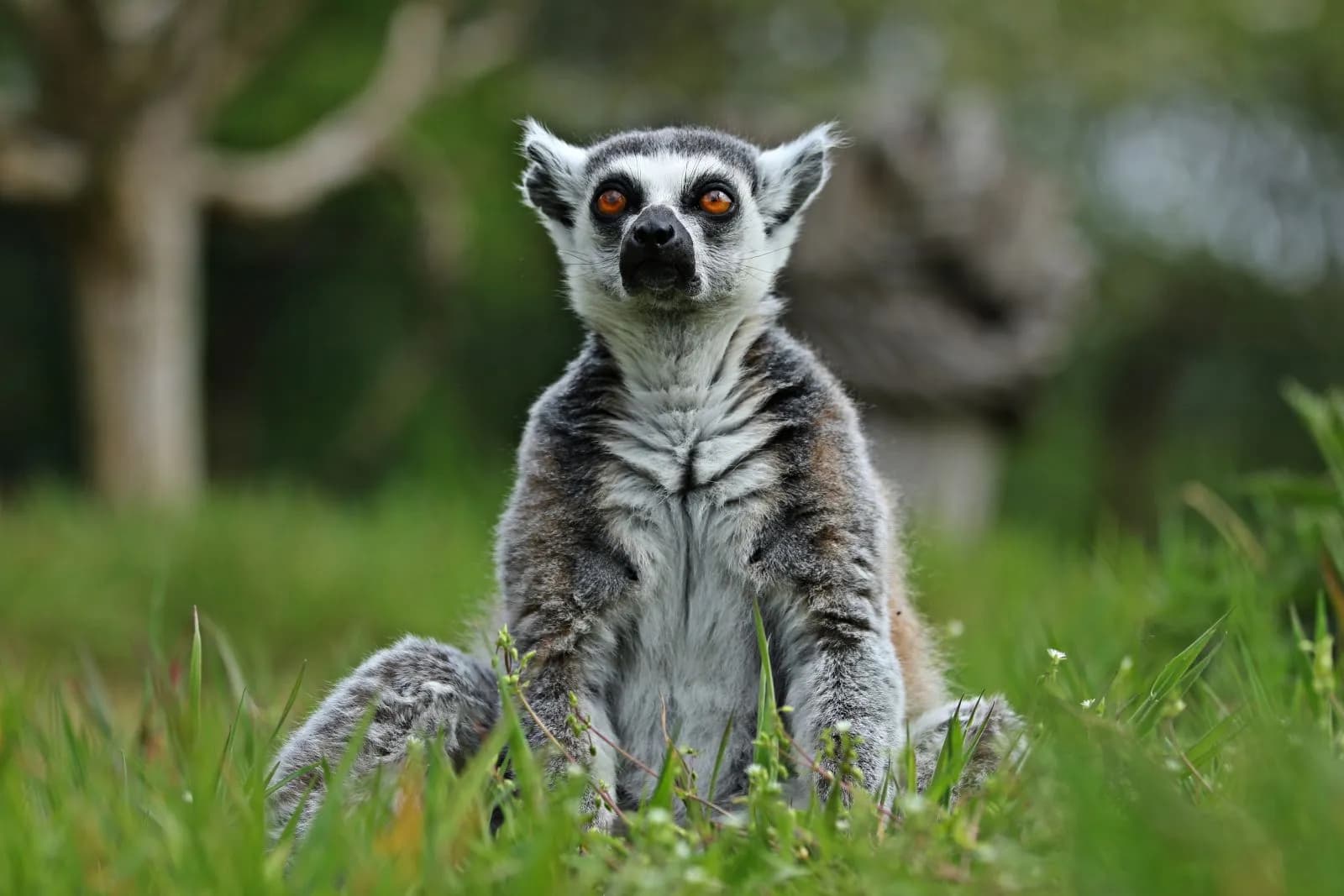 Tier- und Freizeitpark Thüle 1