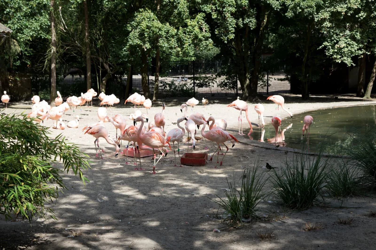 Tier- und Freizeitpark Thüle 2
