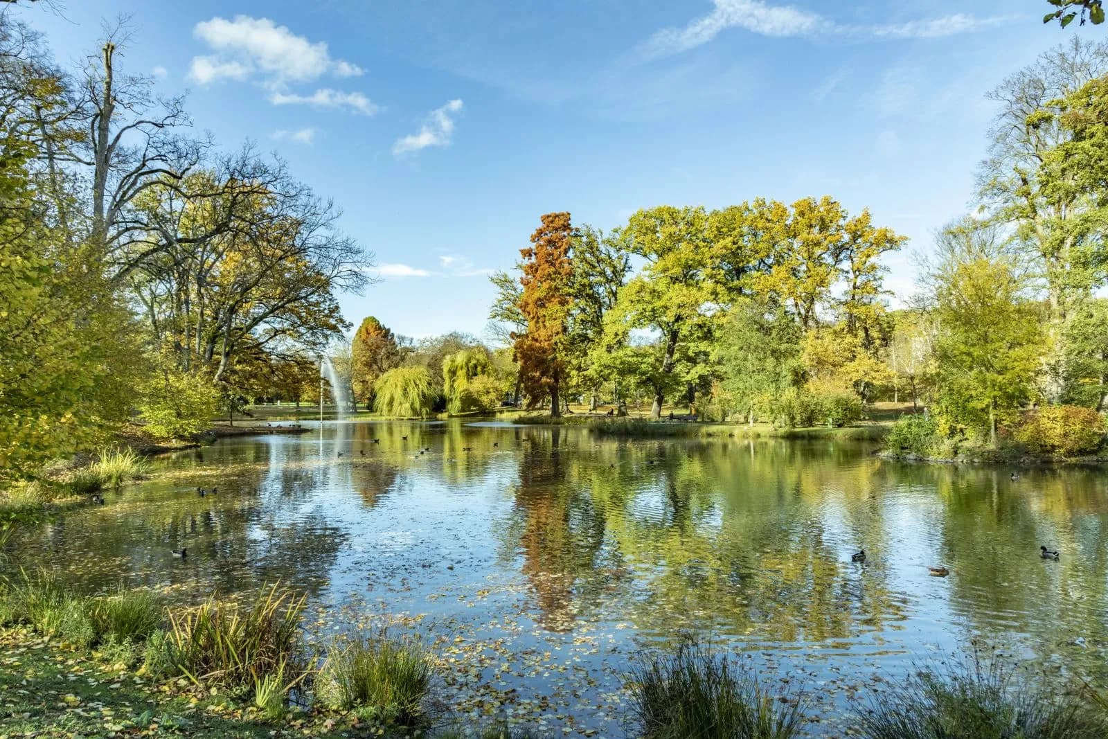 Kurpark Bad Homburg 1