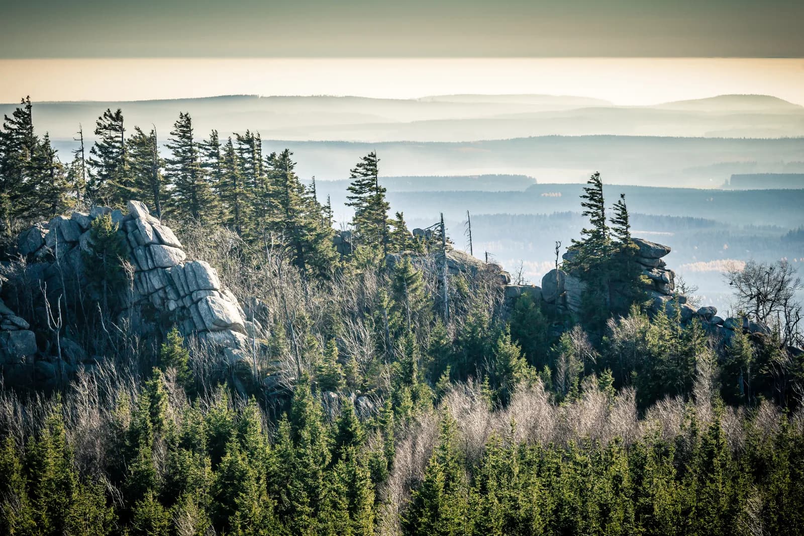 Nationalpark Harz 1