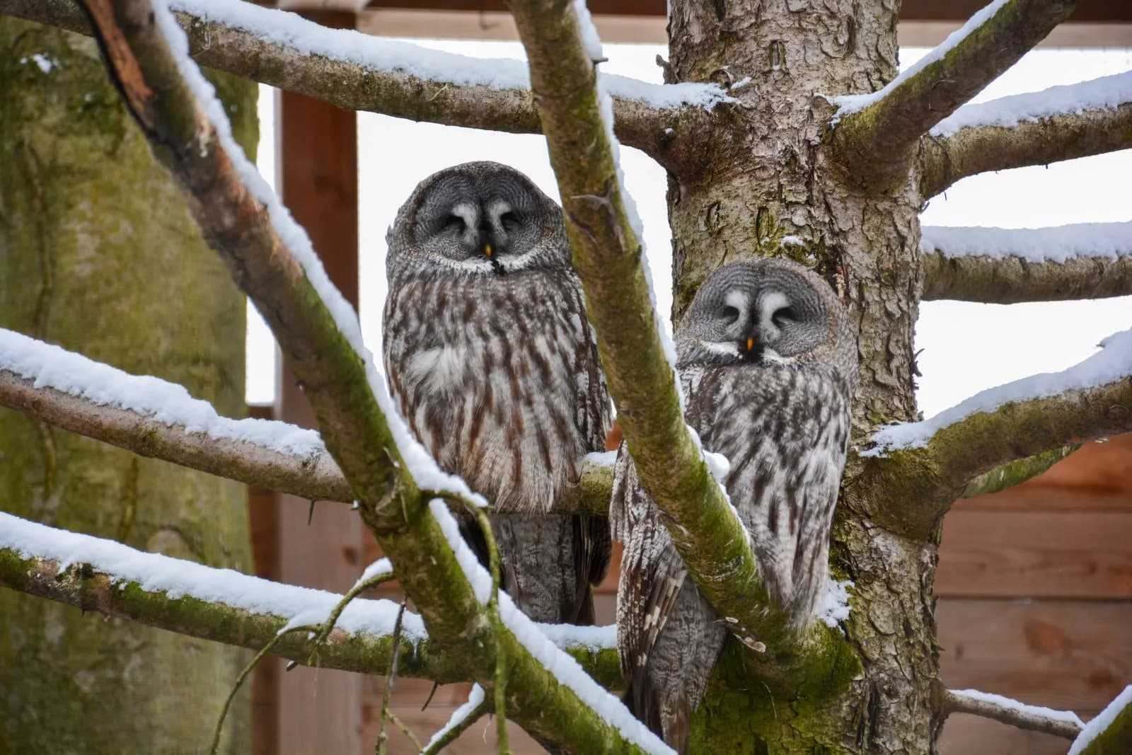 Wildpark an den Eichen 2